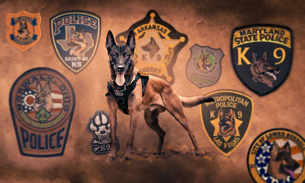 K9 Multiple Patches Advance Manipulation